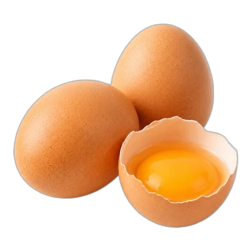 Œuf